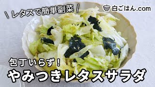 やみつきレタスサラダ／レタスでかんたん副菜！包丁いらずで手軽