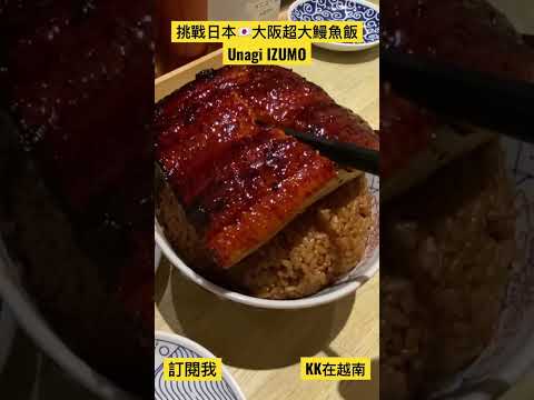 [KK旅行趣]日本🇯🇵大阪梅田站挑戰超厚實鰻魚飯！厚實烤鰻魚+煎蛋！你吃的完嗎？