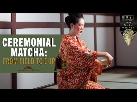 Ceremonial Matcha: From Field to Cup