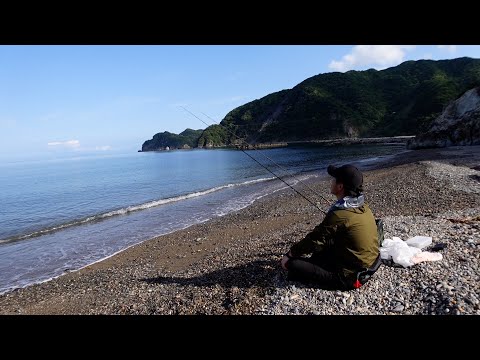 【Japanese whiting (Sillago japonica)】 The handmade rig got the first bite.