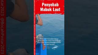 Baru Tahu, Penyebab Mabuk Laut #barutahu