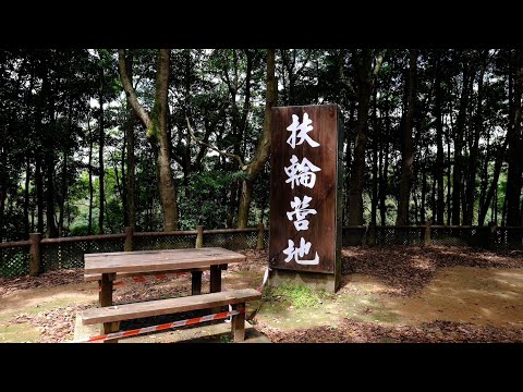 扶輪公園營地 | Rotary Club Campsite