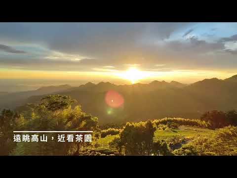 正一放鬆遊 「當你開始踏上旅程，路就會自己展開」#阿里山夕陽