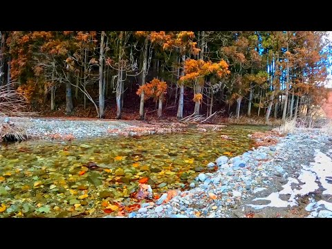 【9h】Tranquil River Sounds in the Japanese Countryside | Nature’s Harmony for Sleep & Relaxation