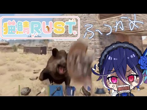 【猫鯖RUST】イノシシ WIN【碧海ヒカル/AiceClass】#初見さん大歓迎 #rust