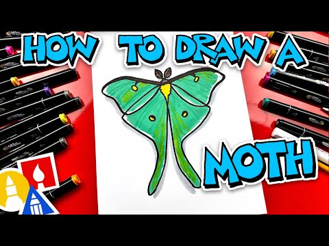 How To Draw A Moth