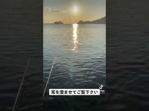 海の音に癒される#釣り #釣り好き #海釣り #fishing #enjoybjjlife #柔術たまに釣り #柔術 #格闘技