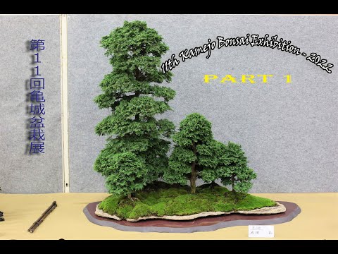 11th Kamejo Bonsai Exhibition - 第11回 亀城盆栽展 2022 January (PART 1)