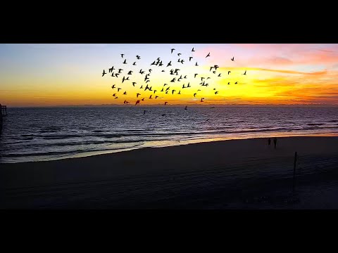 Jacksonville Beach Pier Live Cam / South View / By 911surfreport.com