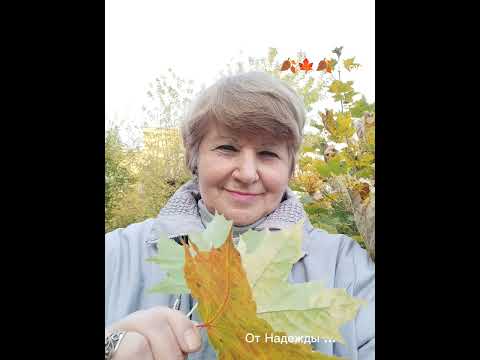 Зарисовки осени 🍁🍂🍁 от 5 октября 24 г.