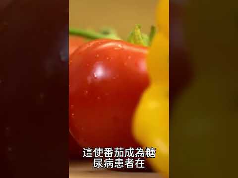 【糖尿病症状 饮食】番茄：對糖尿病患者的益處，穩定血糖與營養豐富的選擇！13