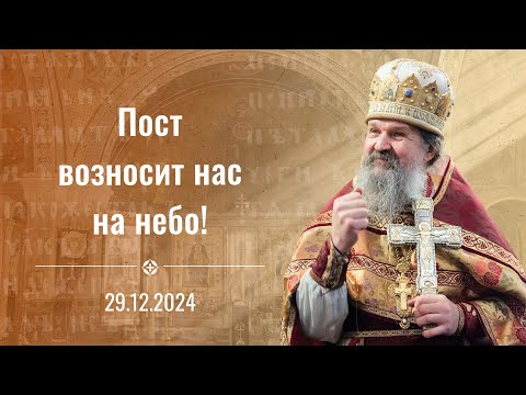 Пост возносит нас на небо! Воскресная проповедь о. Андрея 29 декабря 2024 г.