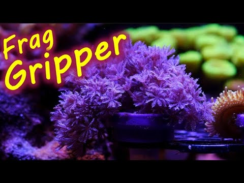 Leather Coral Fraging Made Easy Frag Grippers