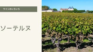 ソーテルヌ #wine #ワイン豆知識 #ワイン #ワインのある暮らし #雑学 #白ワイン