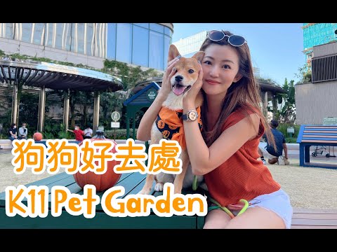 ［狗狗好去處］二寶快閃萬聖節 k11 pet garden 南瓜陣地