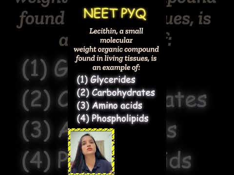 Ans this NEET PYQ #neet #futuredoctors  #neetpyqs #neet2025 #biology