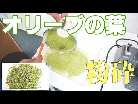 【オリーブリーフパウダー】オリーブの葉を粉砕（ファインパウダーミル）