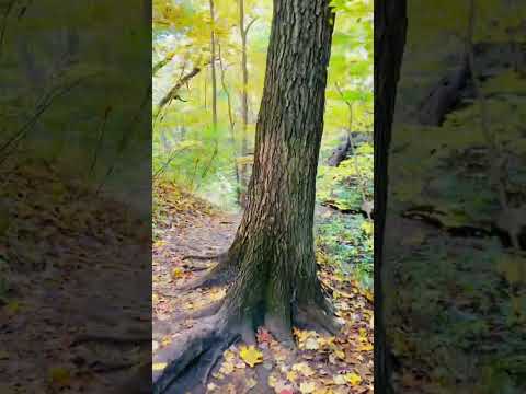 Fall Colors at Matthiessen & Starved Rock State Park, Illinois - October 21, 2023