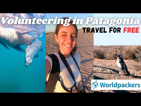 Volunteering in Puerto Madryn, Patagonia Argentina | WORLDPACKERS