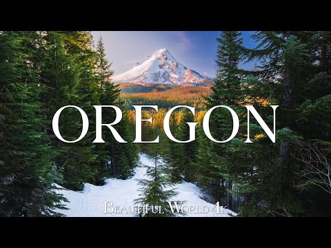 Oregon 4K - Majestic Winter Waterfalls and Serene Snowy Forests - Peaceful Piano Music