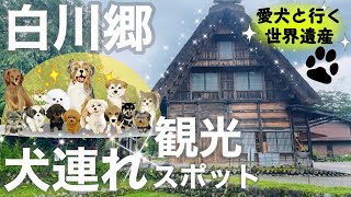 【白川郷】愛犬と行く世界遺産！犬連れで入れる施設をご紹介