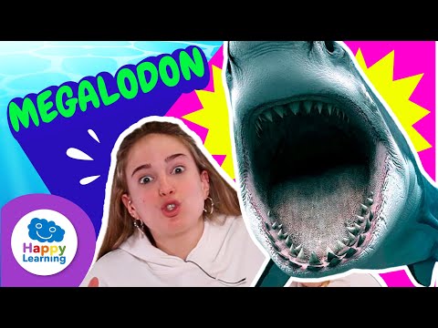 The Megalodon: The Giant Shark of the Past | Happy Learning 🦈🌊✨