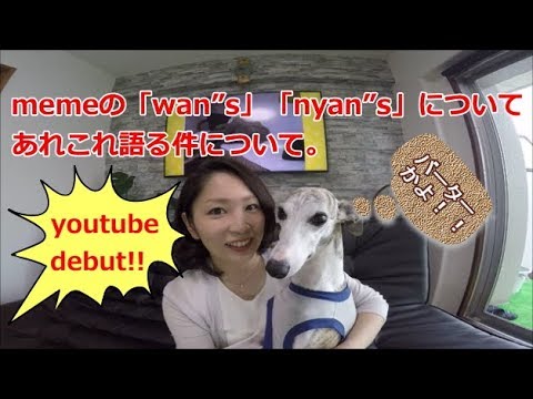 meme（ミーミー）のcat＆dog あれこれ語る。