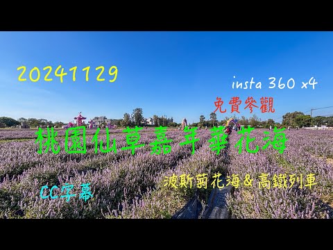 萬ㄟeye台灣20241129桃園仙草嘉年華/insta 360 x4/請打開CC字幕  4K