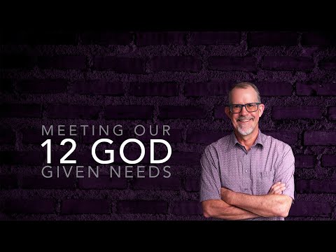 Meeting our 12 God Given Needs | Tim Fletcher