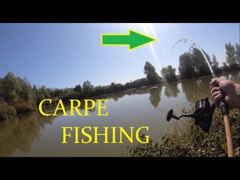 carpefishing, une session exceptionnel !!!