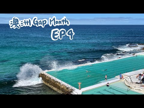 【澳洲Gap Month EP4】一個人的旅行～邦迪海灘、皇家植物園