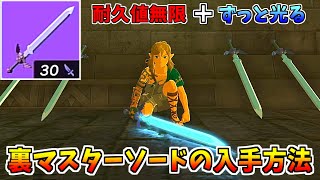 【ティアキン】序盤から入手できる裏マスターソードがヤバすぎる【ゼルダの伝説 ティアーズ オブ ザ キングダム】