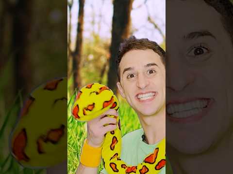 Snake Puppet Show for Kids 🐍Educational Children | Coach Ceevan