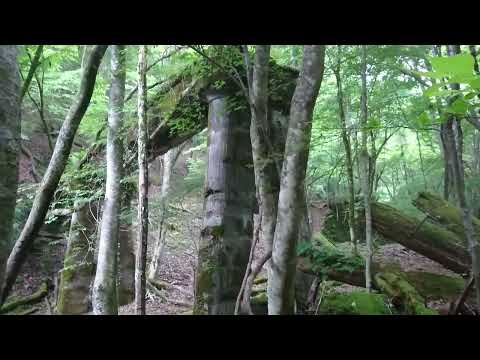 波賀森林鉄道中音水支線 最奥の橋梁を下から(20160612)