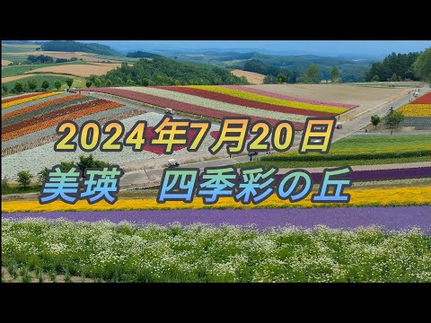 2024年7月20日　美瑛の四季彩の丘に行ってきました