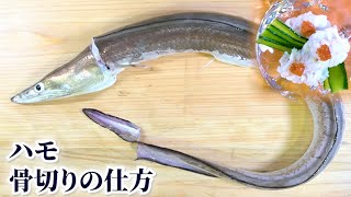 【鱧】骨は３段階ある！？ハモの骨切りのコツ