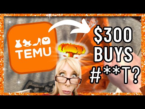 I Got $300 to SHOP TEMU! | WHAT Did I Get? | TEMU Review 2023