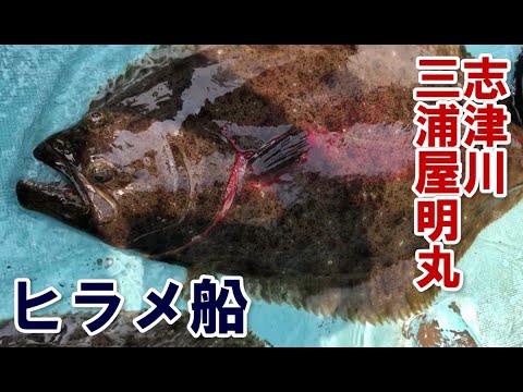 志津川三浦屋の船ヒラメ 追波湾周辺活きイワシ泳がせヒラメ釣り