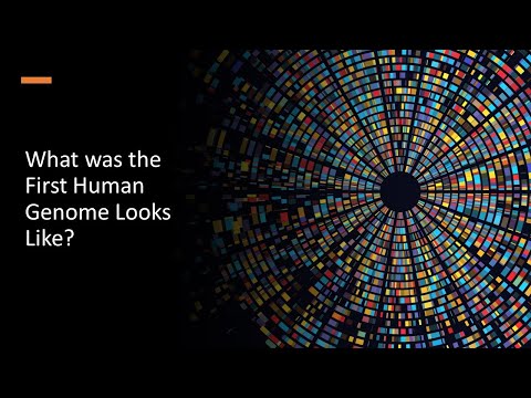 What Was the First Human Genome Looks Like?