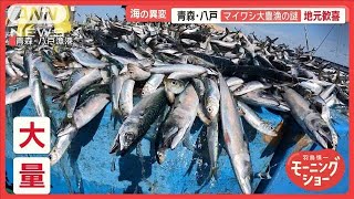 八戸で「マイワシ」大豊漁…気仙沼で「マダイ」水揚げ30倍　東北の海に異変【羽鳥慎一モーニングショー】(2024年7月5日)