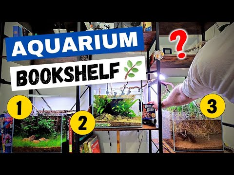 Using a BOOKSHELF To Display My Aquariums!