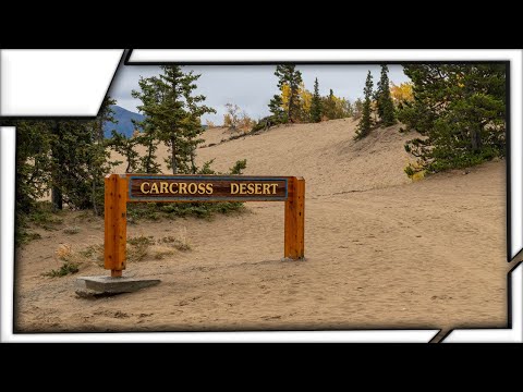 The Carcross Desert   The Smallest Desert In The World