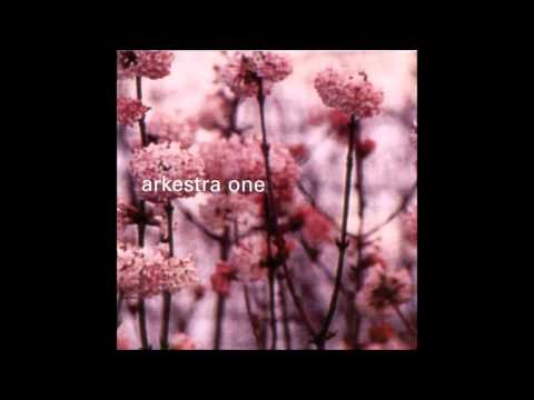 Arkestra One - Train To Machu Pichu