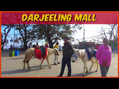 Darjeeling Mall Tour | Shopping at Darjeeling Mall Market