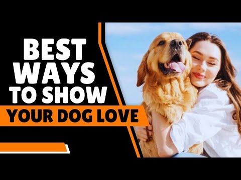 How to Show Your Dog You Love Them?