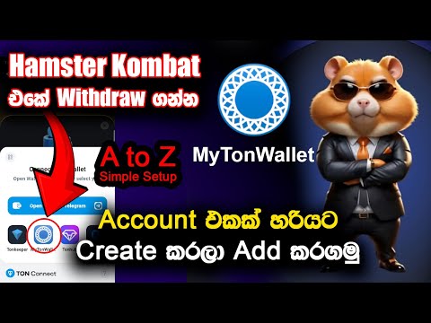 How to connect wallet in hamster kombat | Hamster Kombat Withdraw Sinhala | Hamster Kombat Update