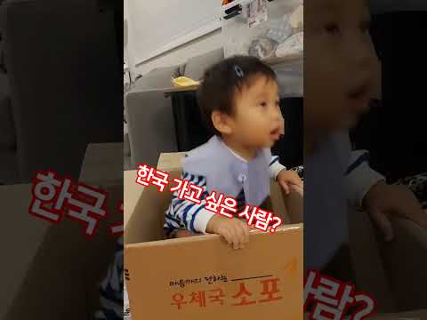 택배 박스 속에 들어간 이유!? #아기 일상 #아기 #shorts #우체국  #한국 #택배  #baby #13개월아기