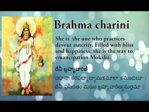 Brahmacharini Stuti |Jaap Mantra | stotram |  Navdurga Stuti | Happy Navrathri | Day 2 Navratri