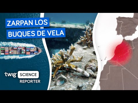 Zarpan los buques de vela