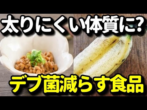 痩せ菌を増やし食べても太りにくく痩せやすい体質になる食品？デブ菌を減らしてダイエットに良い食べ物とは？健康雑学